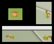 Schildkröten
